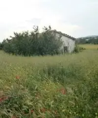 Pietrelcina: Terreno Altro Pietrelcina: Terreno Altro