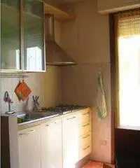 Affitto Appartamento a Saltara - Pesaro Affitto Appartamento a Saltara - Pesaro