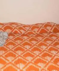 Miniappartamento - Marche