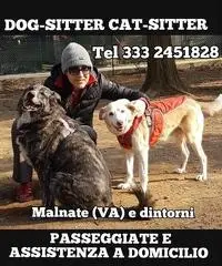 DOG-SITTER Cat-Sitter