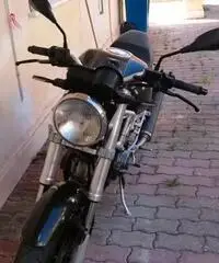 Ducati Monster 600 - 1999 Ducati Monster 600 - 1999