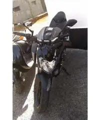 YAMAHA MT 125 ALLESTIMENTO SPORT (2015) - Parma