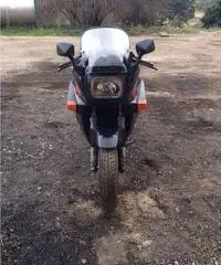 1000 GPZ - Lazio - Roma