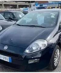 Fiat Punto 1.2 8V 5 porte Street "NEOPATENTATI"