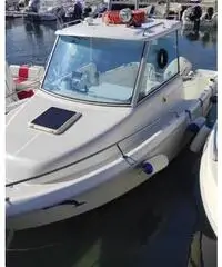 Cabin fish 550 Cabin fish 550