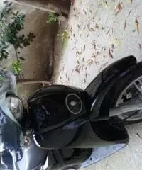 Perfetto - Campania - Caserta