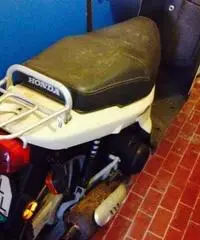 Sh 50 - Lazio Sh 50 - Lazio