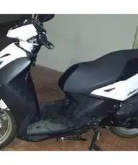 Motorino 50cc - Latina