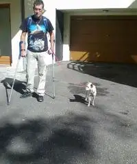 cerco anima gemella cerco anima gemella