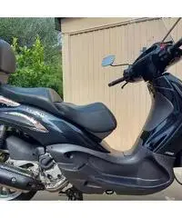Beverly 500
