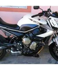 Yamaha XJ6 - Campania
