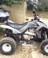 QUAD DINLI 450 - Arezzo