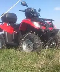 QUAD MXU 300 - Emilia Romagna