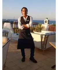 Barman per cocktail bar/hotel Barman per cocktail bar/hotel