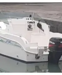 Barca a motore