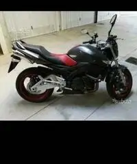 Gsr 600 Yoshimura - Torino Gsr 600 Yoshimura - Torino