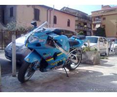 Suzuki GSX 1000cc Allest.Rizla+ originale - Roma