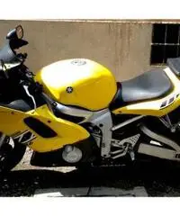 YAMAHA R6 600 - Bologna