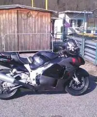 Splendida SUZUKI HAYABUSA - Torino