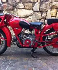 Moto Guzzi - Airone Sport 250 - 1953 - Trentino - Alto Adige Moto Guzzi - Airone Sport 250 - 1953 - Trentino - Alto Adige