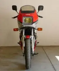Yamaha XJ 750 N - Bologna