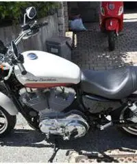 HARLEY-DAVIDSON 883 SUPERLOW XL PERFETTA - Verbania