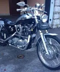 Sportster 1200 centenario - Trieste