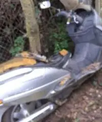 Burgman Burgman