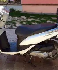 Honda Vision 50 - Abruzzo