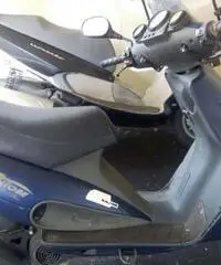 Malaguti - Phantom F12 1994 con motore rifatto - Abruzzo Malaguti - Phantom F12 1994 con motore rifatto - Abruzzo