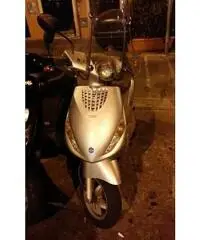 ZIP 50 del 2009 - Genova