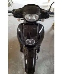 Scarabeo usato come nuovo - Rieti