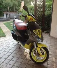 Piaggio NGR - Udine