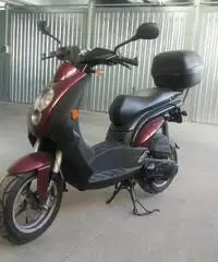 Peugeot Ludix Elegance KM.2775 - Piemonte