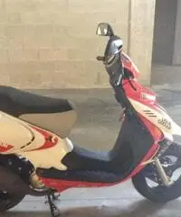 Beta Ark 50 cc 2009 - Cuneo Beta Ark 50 cc 2009 - Cuneo