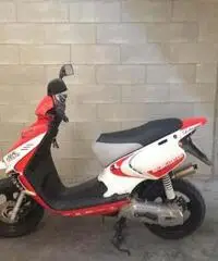 Beta Ark 50 cc 2009 - Cuneo Beta Ark 50 cc 2009 - Cuneo