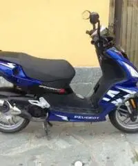 Peugeot speedfight 3 - Vercelli