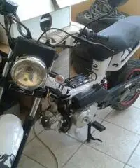 Vendita - Puglia - Bari