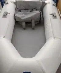 Tender 2 m goldenship Tender 2 m goldenship