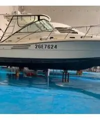 Barca Pursuit 3000 Express C3 - anno 2003 - 10mt Barca Pursuit 3000 Express C3 - anno 2003 - 10mt
