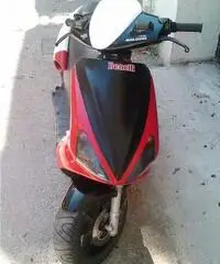Benelli 491 SBK - Ragusa