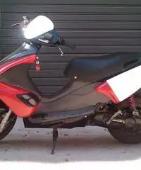Benelli 491 SBK - Ragusa
