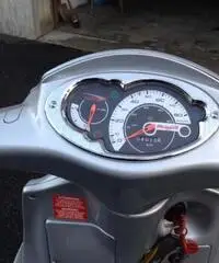 MALAGUTI CIAK 50 - Padova