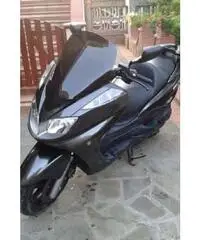 Yamaha Majesty 400 - 2007 - Salerno