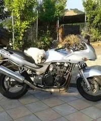Kawasaki ZR 750s - Chieti