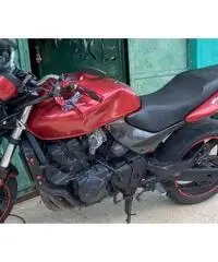 Honda Hornet