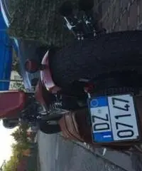 Special su base shadow - Pordenone