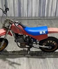 Mini moto minimoto Rivara bx 50