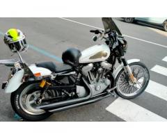 Sportster 2009 club style