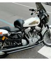 Sportster 2009 club style